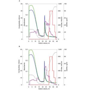 Fig. 4. Replicate elution of dengue virus from CHT XT.