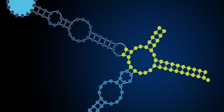 Understanding the Long Noncoding Transcriptome