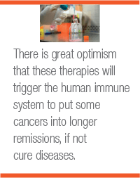 There is great optimism that these therapies will trigger the human immune system to put some cancers into longer remissions, if not cure diseases.