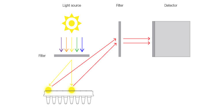 Fig. 1. Light path differences between wells of a lamp-based qPCR system.