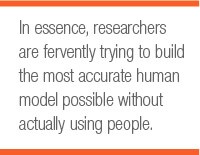 In essence, researchers are fervently trying to build the most accurate human model possible without actually using people.