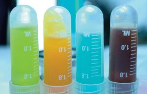 Test tubes with colorful liquid