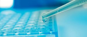 Well plate and pipette