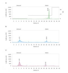 Fig. 2. Chromatograms representing good (A), poor (B), and negligible (C) IgG binding.