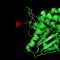 10 Tips for Western Blot Detection of Phosphorylation Events