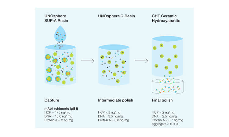 Fig. 2. Example of a mAb purification workflow.