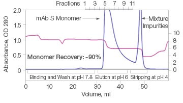 Fig. 1. Elutions of mAb S at pH 6.0.