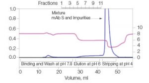 Fig. 1. Elutions of mAb S at pH 6.0.