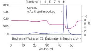 Fig. 1. Elutions of mAb S at pH 6.0.