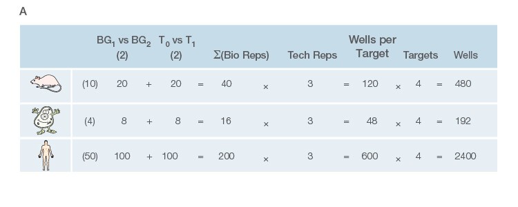 Fig. 1. Planning and scoping a quantitative PCR (qPCR) experiment. A, biological group (BG): tested experimental conditions (i.e., control (BG1) vs treatment (BG2).