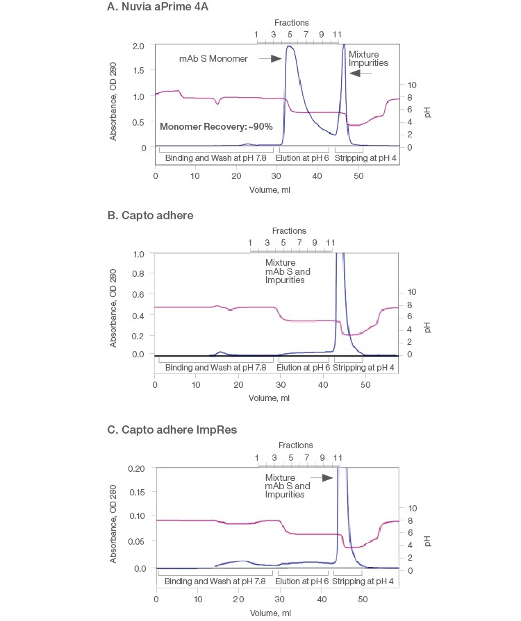 Fig. 2. Purification of mAb S (pI ~6.9) on Nuvia aPrime 4A (A), Capto adhere (B), and Capto adhere ImpRes (C) Resins.