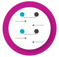 Design primers and probes for multiplexing icon