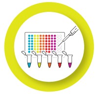 Validate individual assays before multiplexing icon