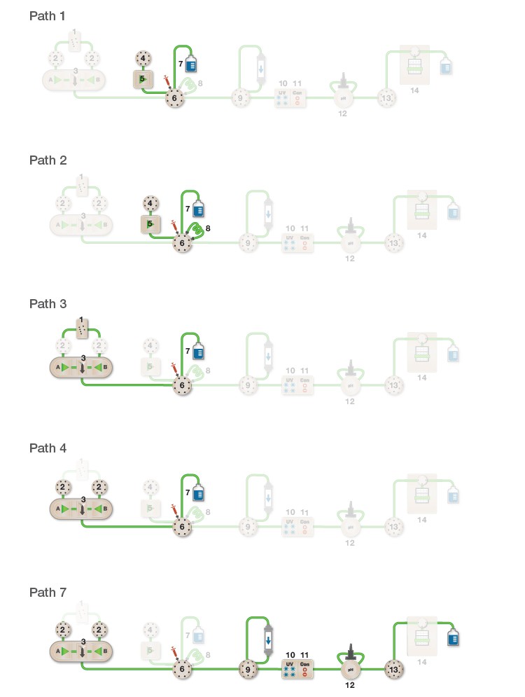 Fig. 1. Sample elution flow paths.