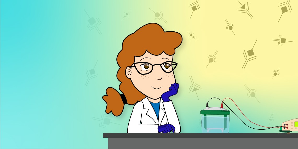 Electrophoresis/Western Blotting | Bioradiations Electrophoresis/Western Blotting | Bioradiations