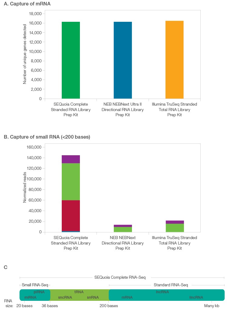 Libraries prepared using the SEQuoia Complete Stranded RNA Library Prep Kit produce richer datasets.