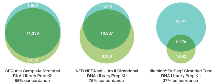 Gene discovery from limited FFPE samples exhibits high concordance with matched frozen samples using the SEQuoia Complete RNA Stranded Library Prep Kit.