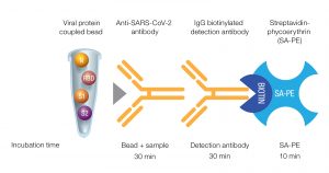 Fig. 1. Qualitative Bio-Plex Pro SARS-CoV-2 Assay format and incubation times.