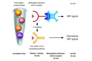 Quantitative* Bio-Plex Pro SARS-CoV-2 competitive assay format and incubation times.