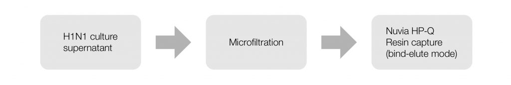 Figure 2. Workflow for purification of H1N1 influenza virus particles with Nuvia HP-Q Resin.