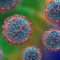 Single-Step Influenza Virus Purification Method Article header image