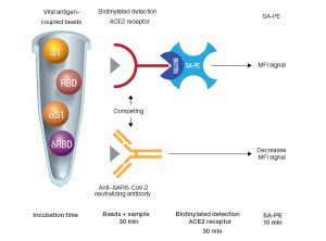 Bio-Plex Pro Human SARS-CoV-2 Neutralization Antibody Assays can be performed quickly due to short incubation times.