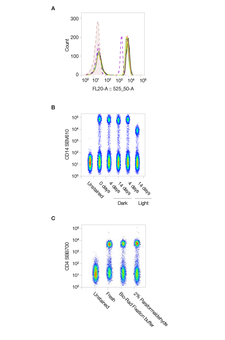 Fig. 4. StarBright Dyes are consistent, stable, and unaffected by fixation.