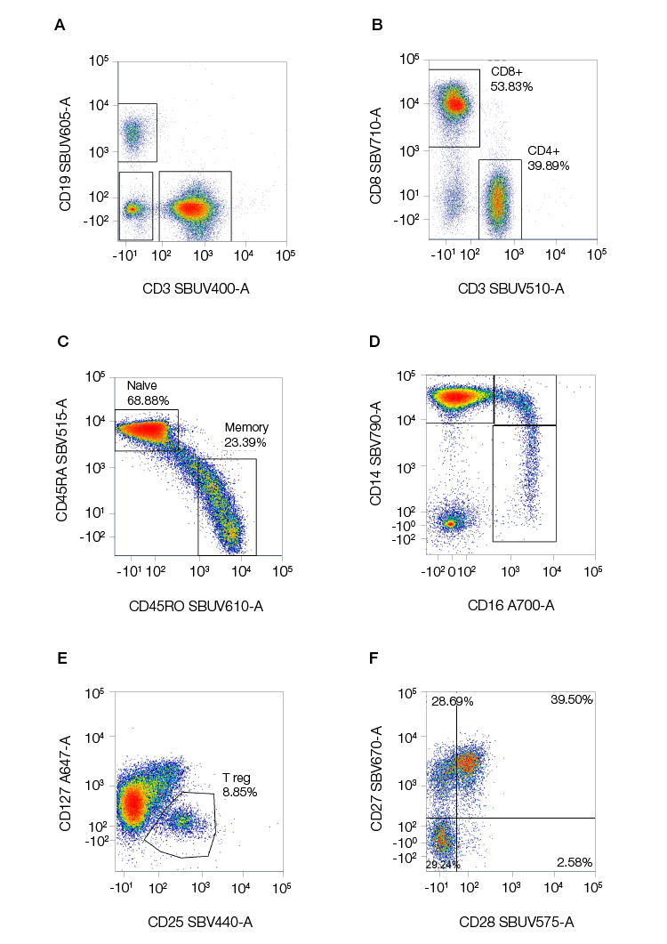 Fig. 5. Examples of staining of common immunophenotyping markers using StarBright Dyes.